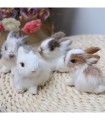 Peluches realistas conejos pequeños