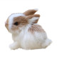 Peluches realistas conejos pequeños