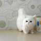 Peluches realistas gatos de pelo largo