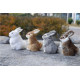 Peluches realistas conejos levantados