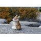 Peluches realistas conejos levantados