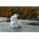 Peluches realistas conejos levantados