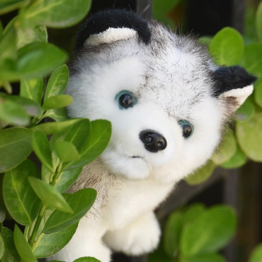 Peluche realista perro husky