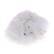 Inicio   Peluches realistas zorros dormidos Peluches realistas zorros dormidos 