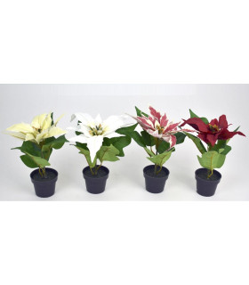 Maceta Artificial Navidad Poinsettia 20Cm  Surtido A Elegir 1
