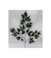 Vara Hoja Ficus Bicolor X42 63Cm(48)