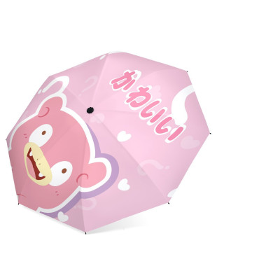 POKEMON   Paraguas Pokémon nuevos modelos Paraguas Pokémon nuevos modelos