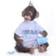 {CATEGORY_NAME} {SUPPLIER_NAME} {MANUFACTURER_NAME} {PRODUCT_NAME} {PRODUCT_SHORT_DESCRIPTION}
