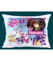 🎉 ¡Nuevo producto para los fans de my little pony!Cojín Personalizado 💕