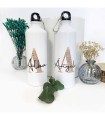 ¡Botellas de Aluminio Personalizadas: Tu Aventura, Tu Diseño! ¡Personaliza la Tuya Ahora y Brilla en Albithinia!