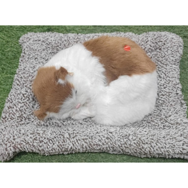Peluche de gato blanco y marrón en cojín de 30cm con sonido