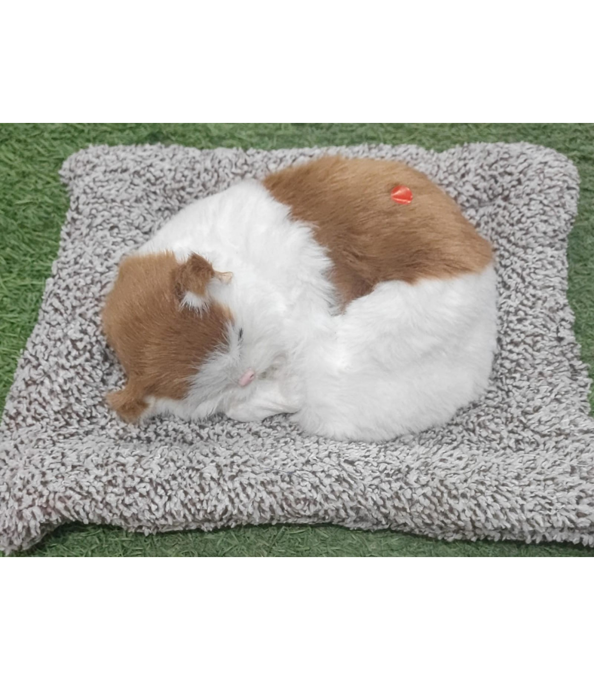 Peluche de gato blanco y marrón en cojín de 30cm con sonido
