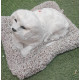 Peluche de perro blanco y marrón en con sonido de 27cm