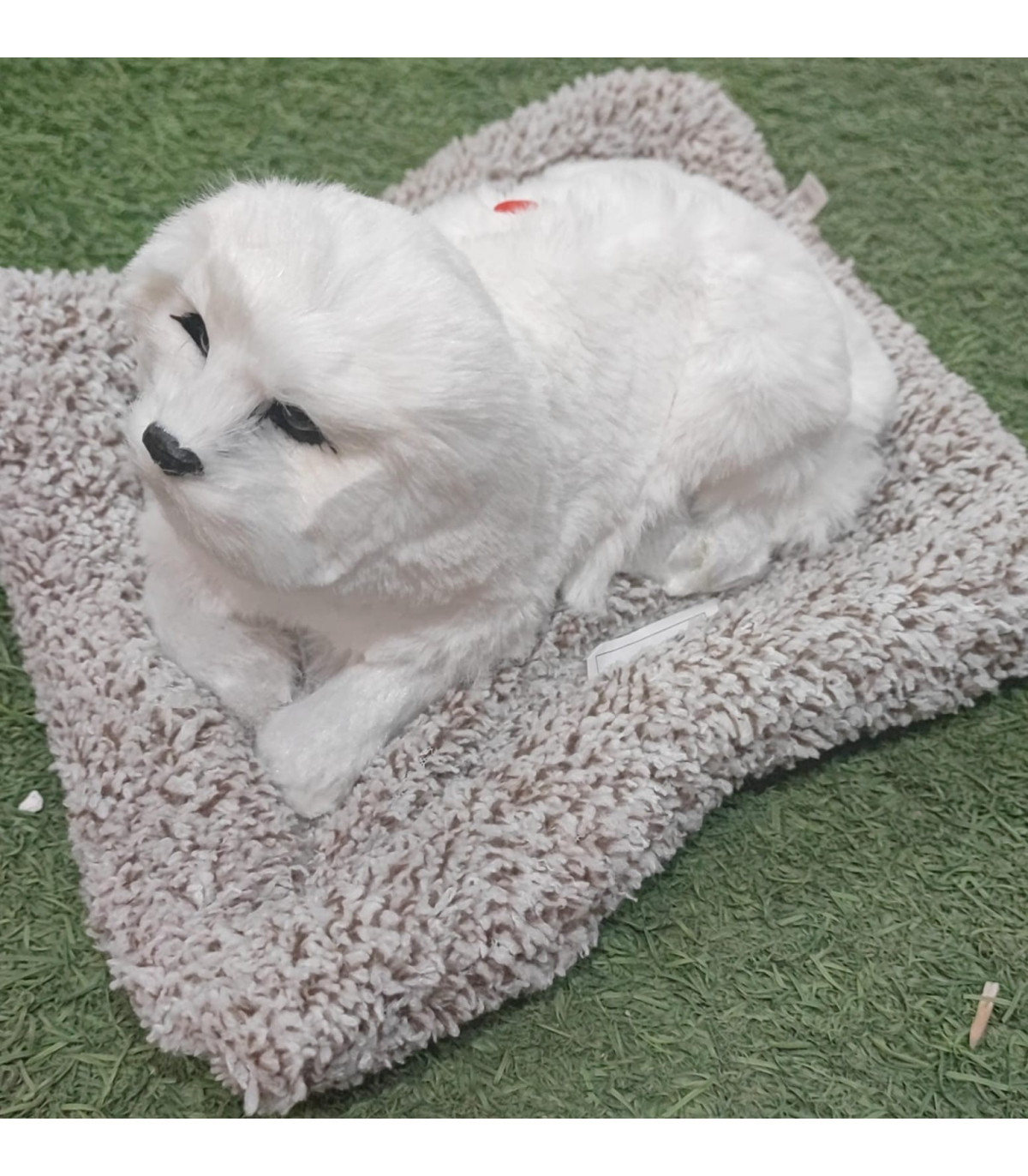 Peluche de perro blanco y marrón en con sonido de 27cm