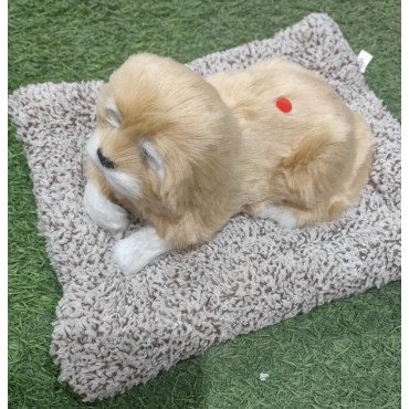 Peluche de perro blanco y marrón en con sonido de 27cm