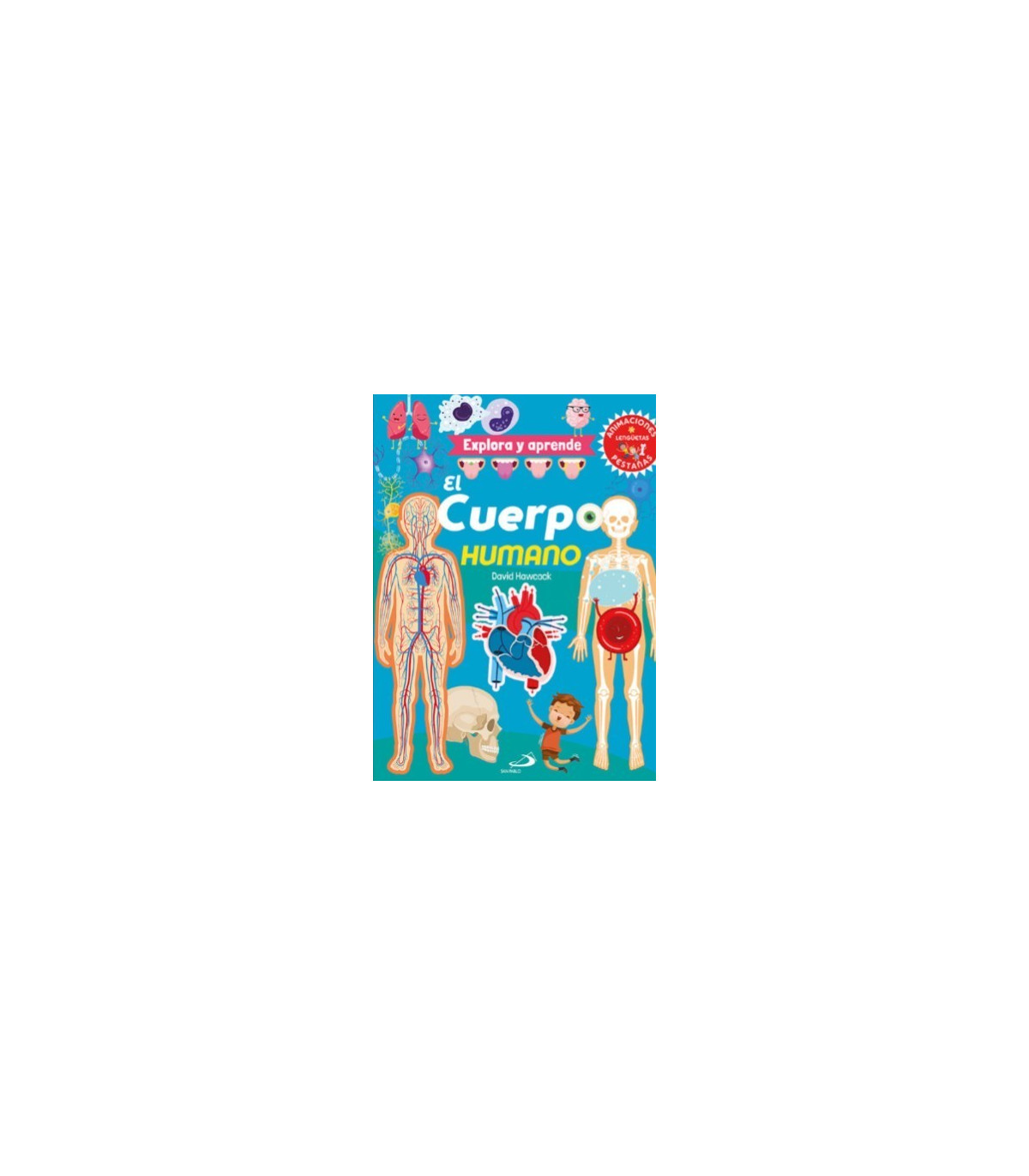 ¡EL CUERPO HUMANO Explora y aprende!
