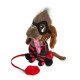 Compra GUGO Deadpool Dog (DOGPOOL) - Muñeco de Peluche Original