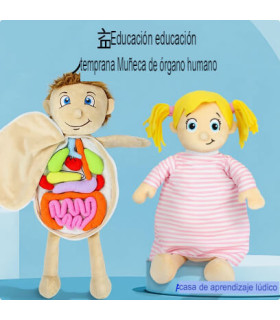 Juguete corporal educativo |producto de calidad, divertido y educativo