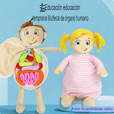 El Mundo Dentro de Ti: Juguete Corporal Educativo