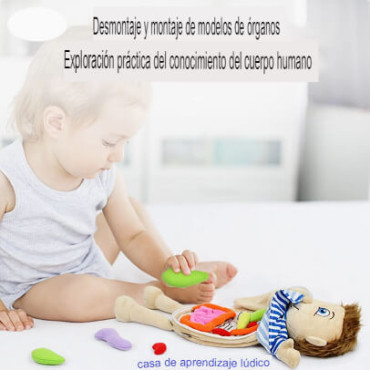 El Mundo Dentro de Ti: Juguete Corporal Educativo