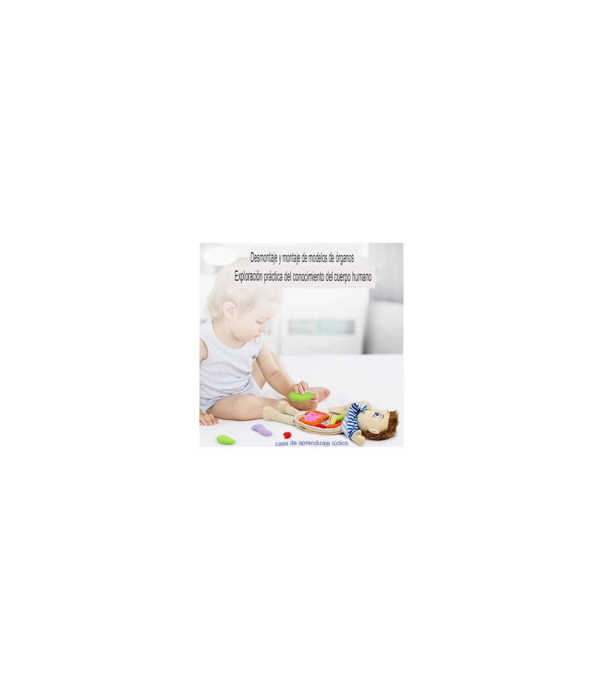 El Mundo Dentro de Ti: Juguete Corporal Educativo