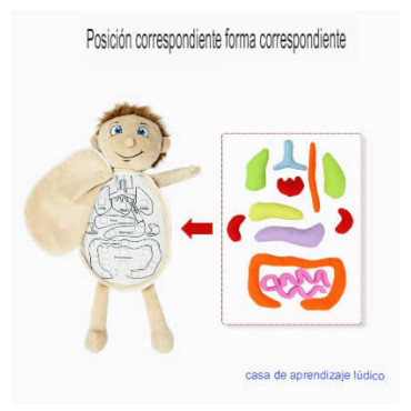 El Mundo Dentro de Ti: Juguete Corporal Educativo