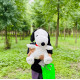 Snoopy SEGA Gran Premio: Peluche Oficial para Fans