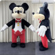 Difraz completo de Mickey y Minnie Mouse | producto de alta calidad