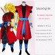¡Despierta tu poder Saiyan con nuestro Cosplay de Dragon Ball!