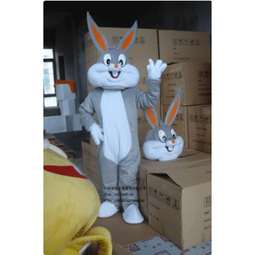 Difraces de Conejos de Dibujos animados como Bugs Bunny y Lola Bunny