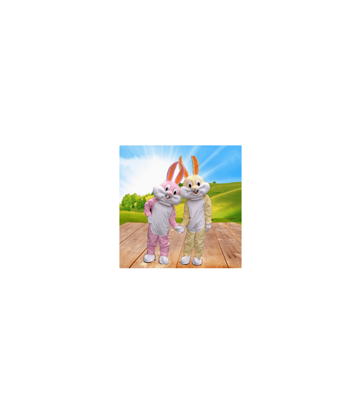 Difraces de Conejos de Dibujos animados como Bugs Bunny y Lola Bunny