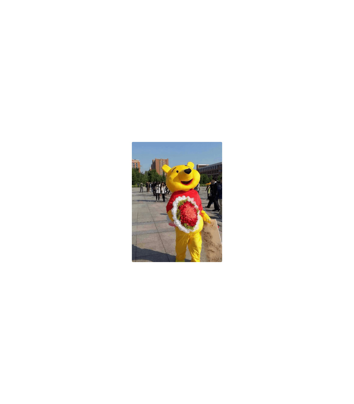 Compra Cosplay de Winnie Pooh de alta calidad, suavidad y ternura