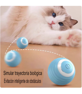 Juguete Automático para Gatos: Estimula y Entretiene a tu Mascota