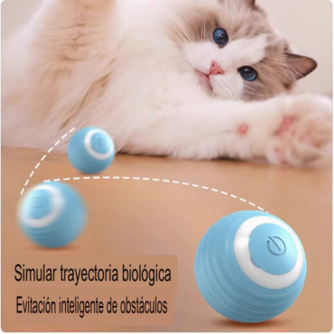 Juguete Automático para Gatos: Estimula y Entretiene a tu Mascota