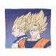 Braga de Cuello Coralina Infantil Dragon Ball Z – Goku y Vegeta – Albithinia.com