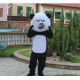 Traje de Panda: ¡El Más Tierno del Bosque!