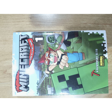 COMIC DE MINECRAFT