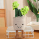 Colección Eternal Garden: Peluches de Plantas Bellas y Suculentas