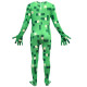 disfraz minecraft