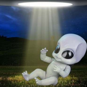 Bebe reborn alien gris