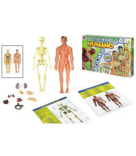 CUERPO HUMANO FIGURA CAJA 28,5x9,5x3,5cm