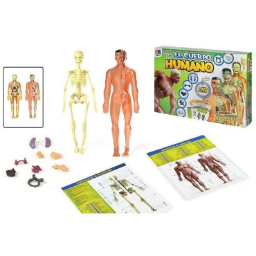 CUERPO HUMANO FIGURA CAJA 28,5x9,5x3,5cm